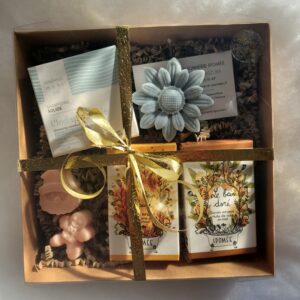 Coffret de Noël - Shampoing tous types de cheveux et savons
